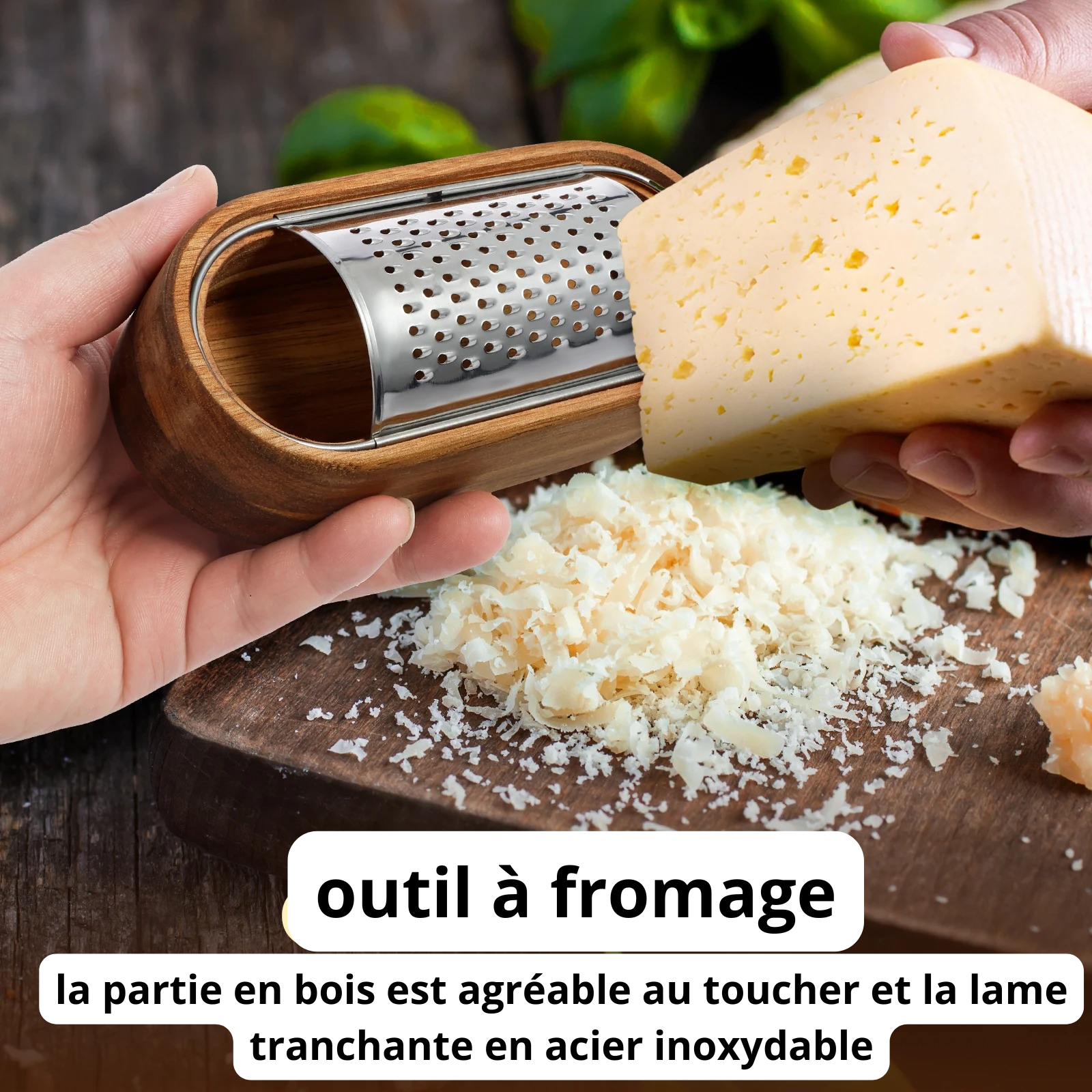 rape-a-fromage-en-bois-parmesan