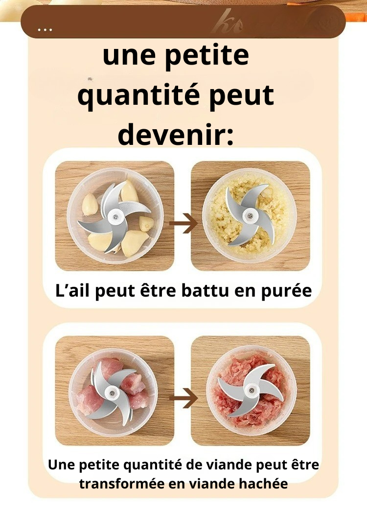 rape-a-legumes-electrique-hachoire-viande